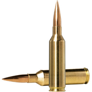 Norma Ammunition 10166462 Dedicated Precision Golden Target Match 6.5PRC 143gr Hollow Point Boat Tail 20 Per Box/10 Case