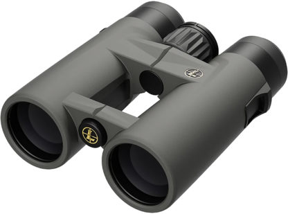 Leupold 184761 BX-4 Pro Guide HD Gen2 10x42mm Roof Prism Black Armor Coated